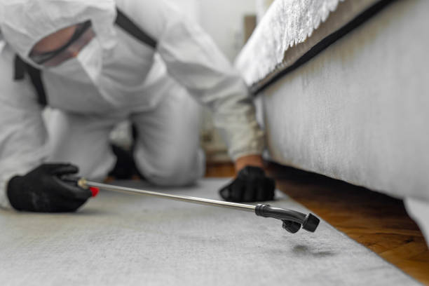 Professional Termite Control technician working in Malta, IL