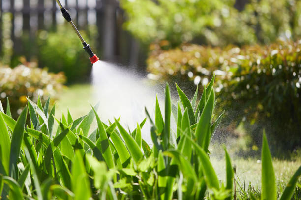 24/7 Emergency Termite Control experts in Malta, IL