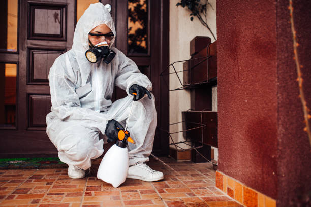 Reliable Termite Control contractor in Malta, IL by Nex Pest Control